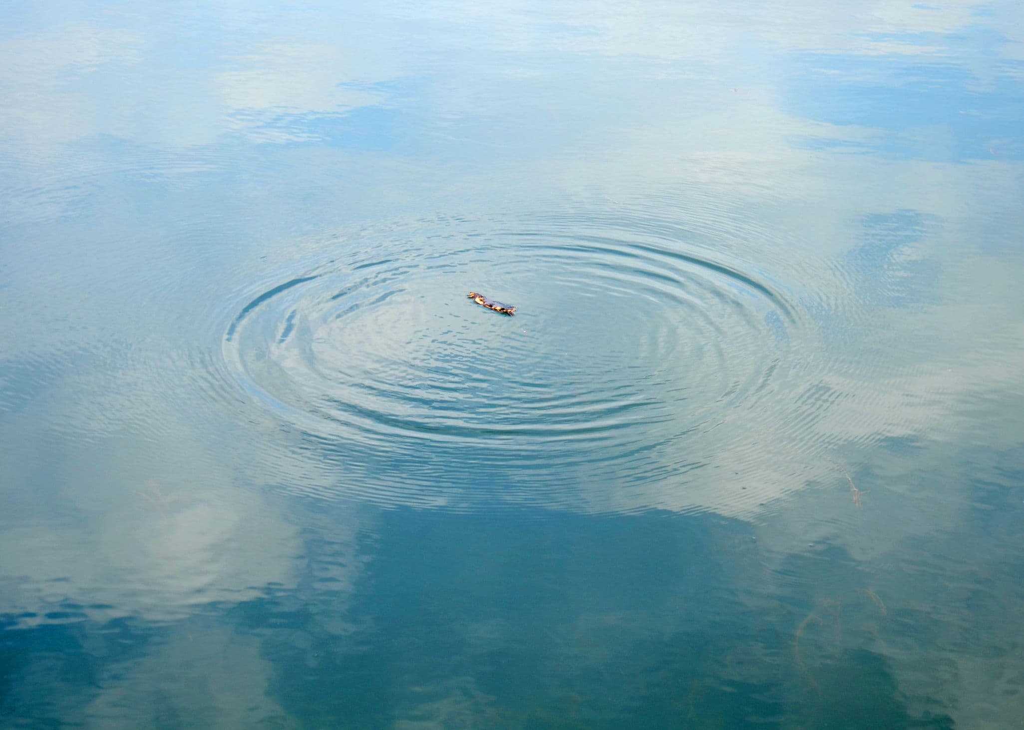 Craniosacral Therapy